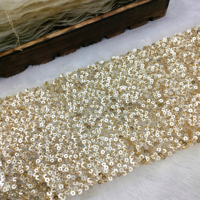 Sequin Lace Trim on Net | hover image