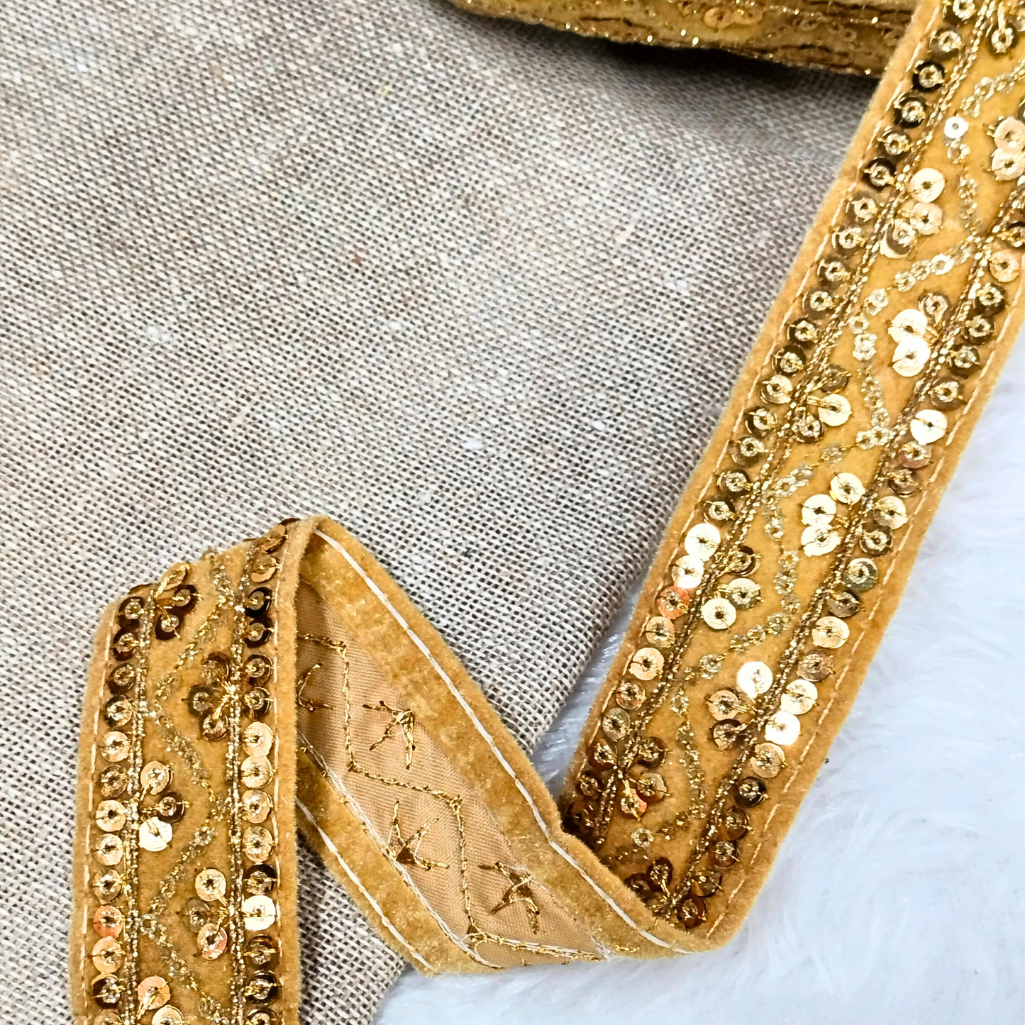 Beige Fancy Zari And Sequin Trim