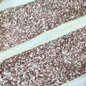 Rose Gold Fancy Sequin Work Trim