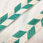 Rama Green Embellished Threadwork Trim