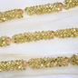 Light Gold Embellished Border