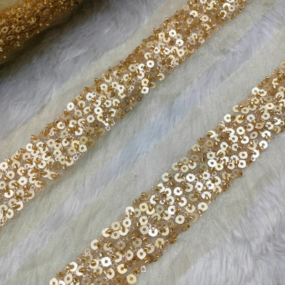 Golden Sequin And Cutdana Trim
