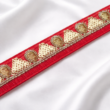 Vibrant Fancy Zari Trim