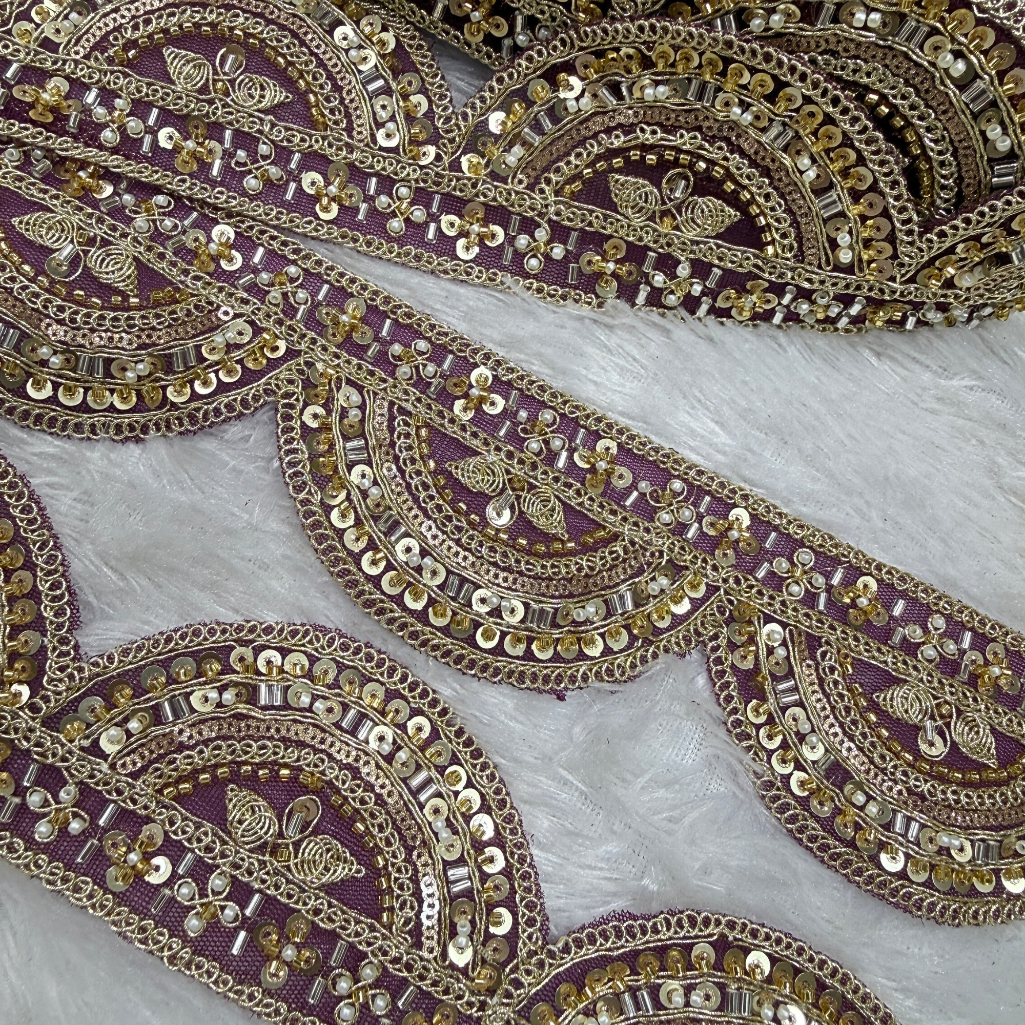 Zari Embroidered & Sequin Detailing Lace Border