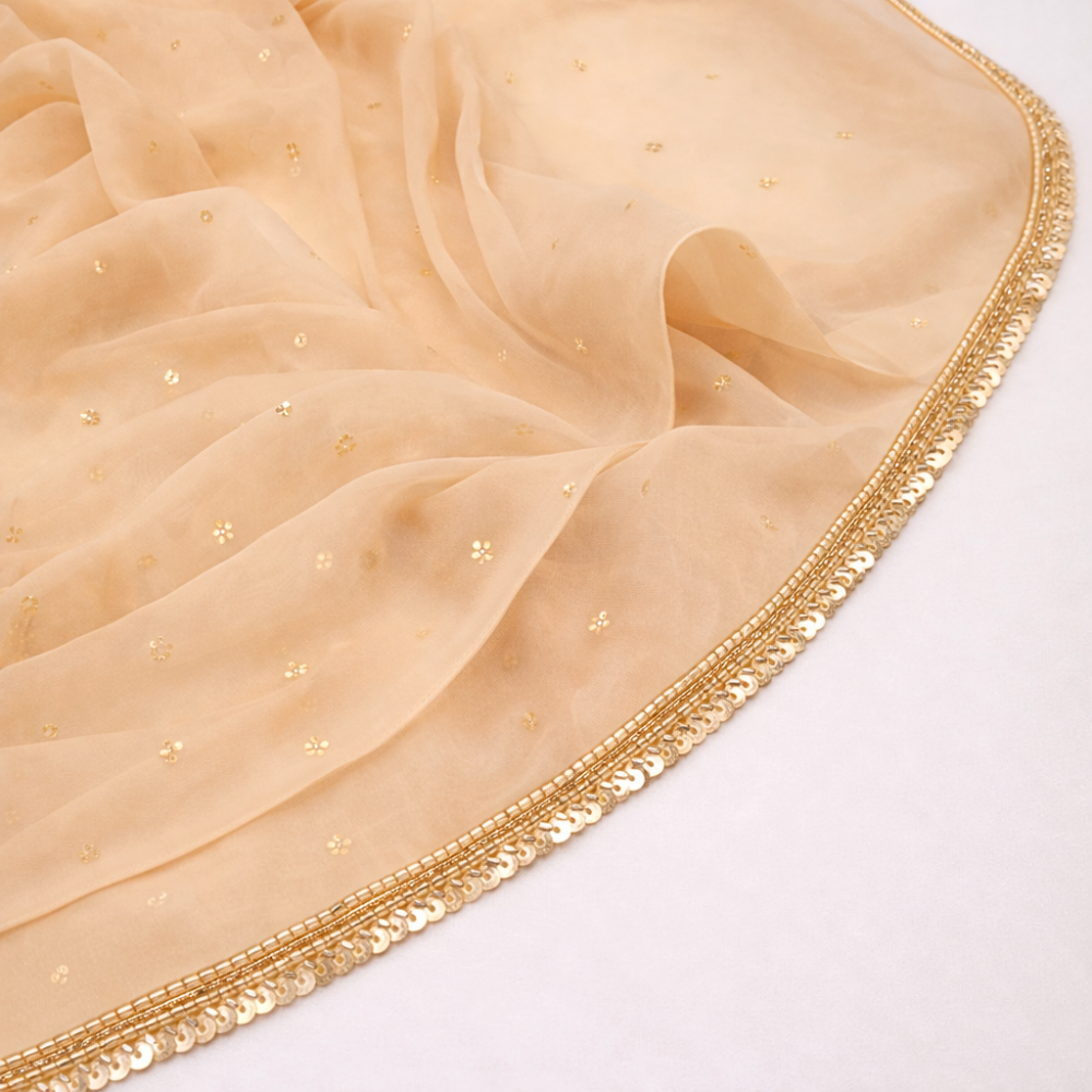 Light Gold Sequin and Cutdana Handwork Trim